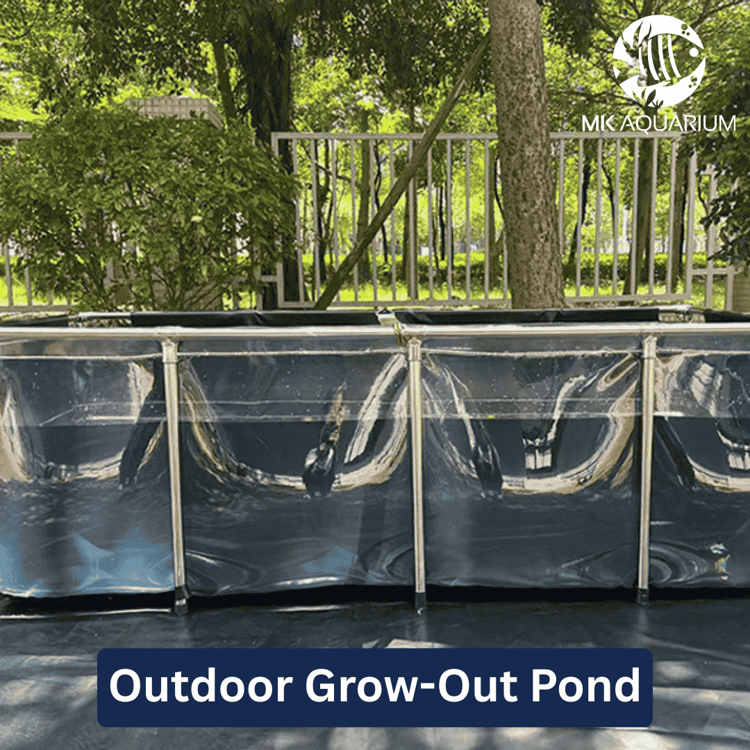 MK 1500 Gallon Heavy-Duty Above Ground Fish Pond, All-Clear Koi & Aquaculture Tank, Large Aquarium (157.5 x 78.7 x 27.6 in)