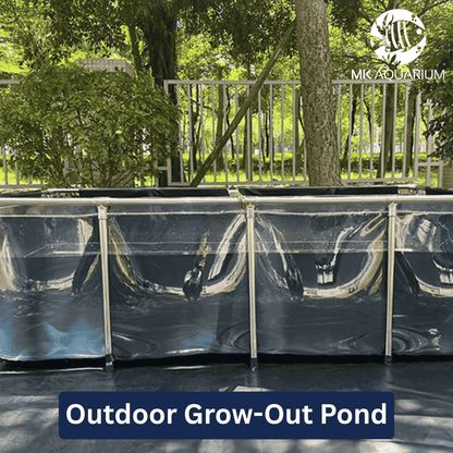 MK 1500 Gallon Heavy-Duty Above Ground Fish Pond, All-Clear Koi & Aquaculture Tank, Large Aquarium (157.5 x 78.7 x 27.6 in)