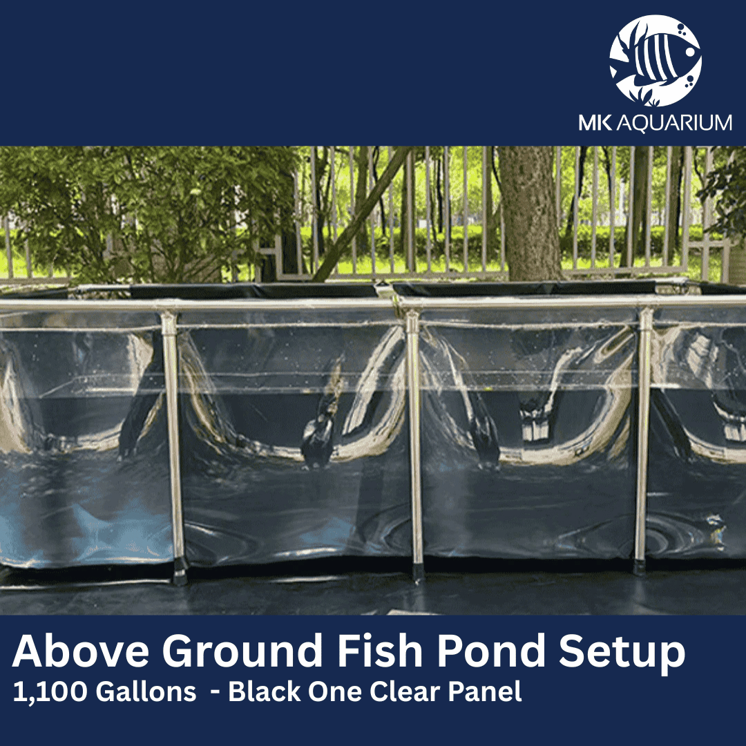 MK 320 Gallon Clear Sides Above Ground Fish Pond, Koi & Aquaculture Tank, Large Aquarium (78.7 x 39.4 x 23.6 in)