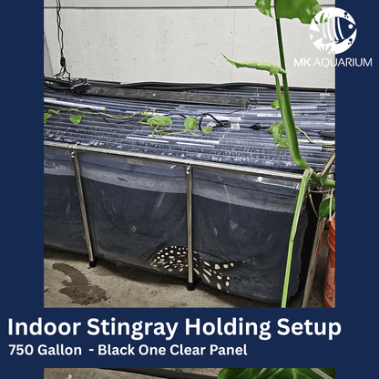 MK 320 Gallon Clear Sides Above Ground Fish Pond, Koi & Aquaculture Tank, Large Aquarium (78.7 x 39.4 x 23.6 in)