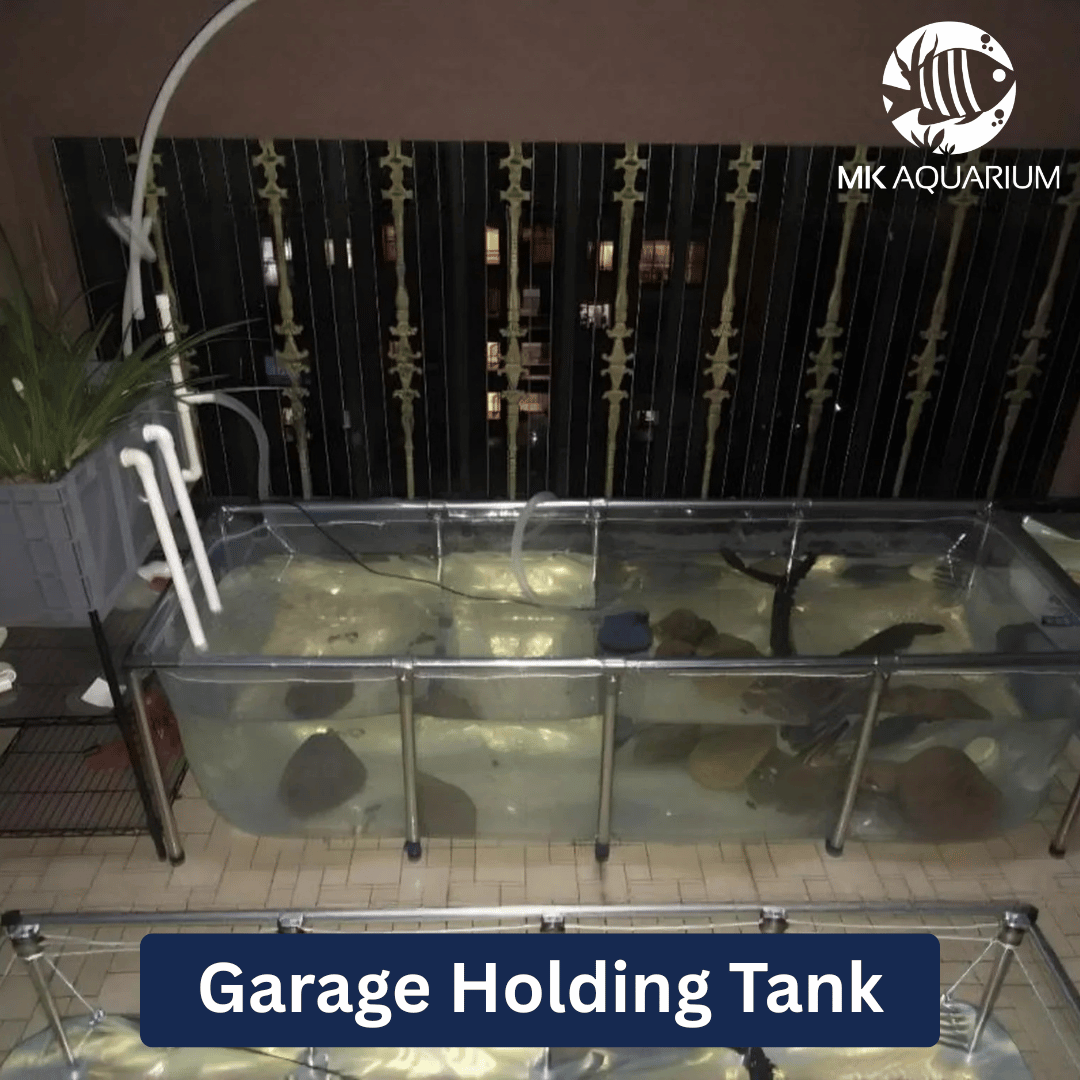 MK 1500 Gallon Heavy-Duty Above Ground Fish Pond, All-Clear Koi & Aquaculture Tank, Large Aquarium (157.5 x 78.7 x 27.6 in)