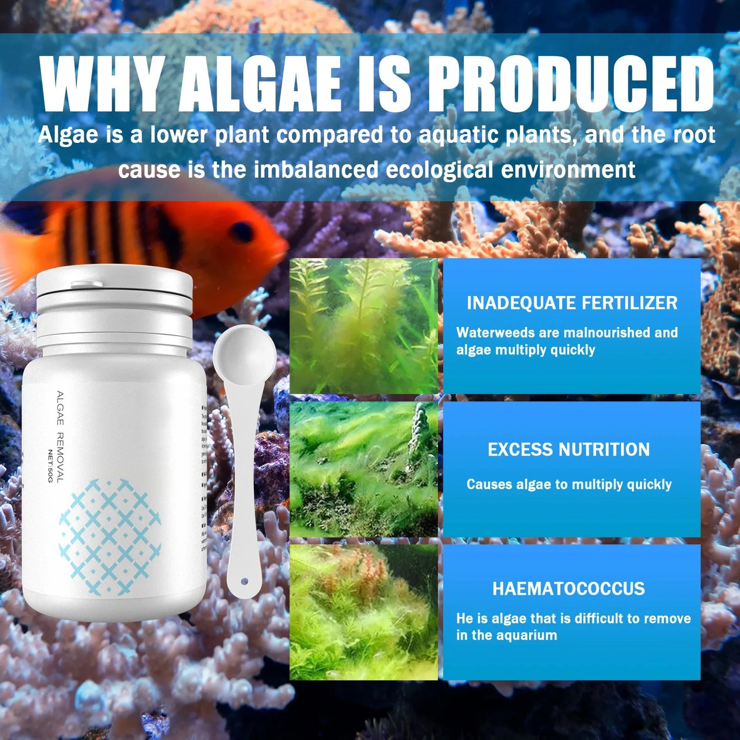 Aquarium Algae Cleaning Tablets – 50-Piece Moss & Odor Remover | Water Purifier & Algaecide Treatment with Spoon