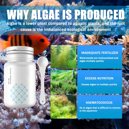 Aquarium Algae Cleaning Tablets – 50-Piece Moss & Odor Remover | Water Purifier & Algaecide Treatment with Spoon