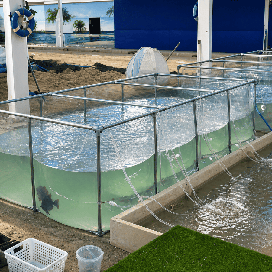 Rectangular Clear Panel Fish Farming Tanks