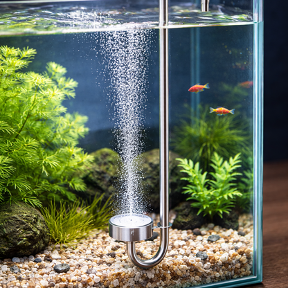 Stainless Steel CO2 Diffuser with Nano Atomizer Disc for Planted Aquariums