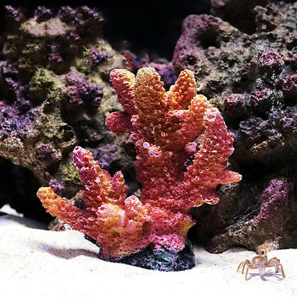 Resin Coral Reef Aquarium Ornament – Vibrant Coral Decor for Fish Tanks & Home Aquascapes