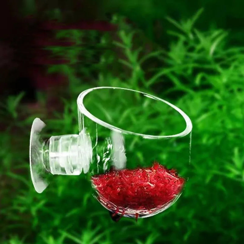 Acrylic Hanging Aquarium Planting and Feeding Cup