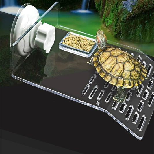 Acrylic Tortoise Basking and Feeding Platform