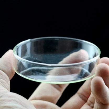 10cm–40cm Glass Shrimp Feeding Tube with Dish