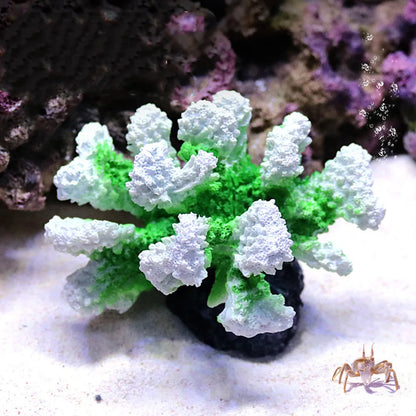 Resin Coral Reef Aquarium Ornament – Vibrant Coral Decor for Fish Tanks & Home Aquascapes