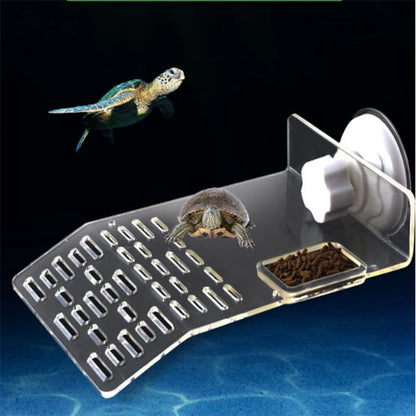 Acrylic Tortoise Basking and Feeding Platform