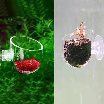 Acrylic Hanging Aquarium Planting and Feeding Cup