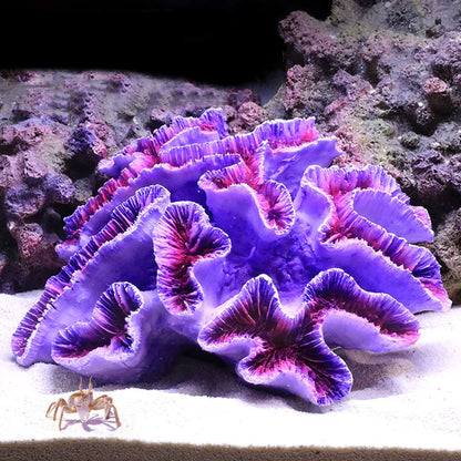 Resin Coral Reef Aquarium Ornament – Vibrant Coral Decor for Fish Tanks & Home Aquascapes