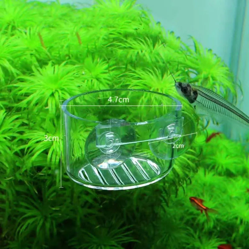 Acrylic Hanging Aquarium Planting and Feeding Cup