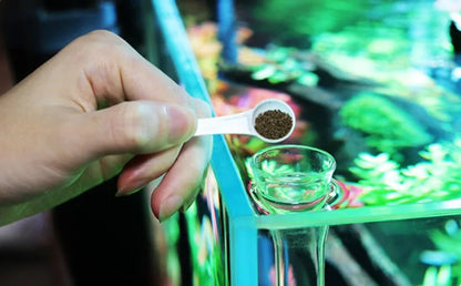 10cm–40cm Glass Shrimp Feeding Tube with Dish