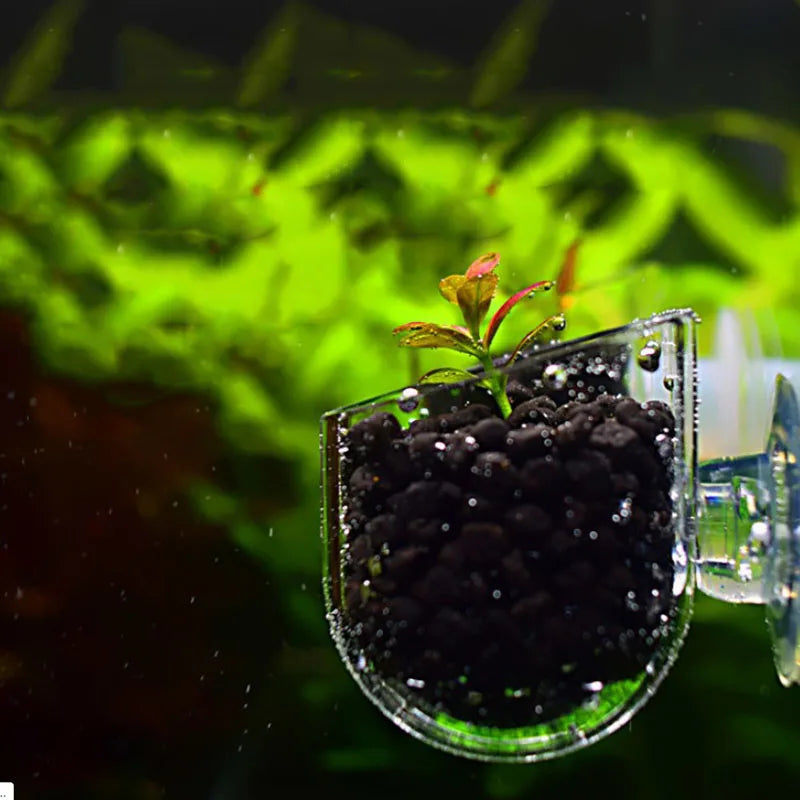 Acrylic Hanging Aquarium Planting and Feeding Cup