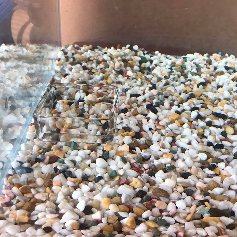 10cm–40cm Glass Shrimp Feeding Tube with Dish