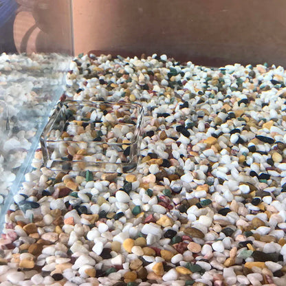 10cm–40cm Glass Shrimp Feeding Tube with Dish