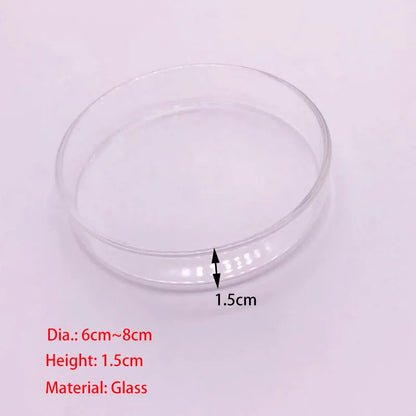 10cm–40cm Glass Shrimp Feeding Tube with Dish
