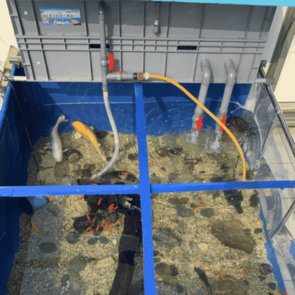 Large Advanced Canister Layer Box Filter for Up To 1100 Gallons Koi Fish Ponds and Aquaculture Fish Tanks
