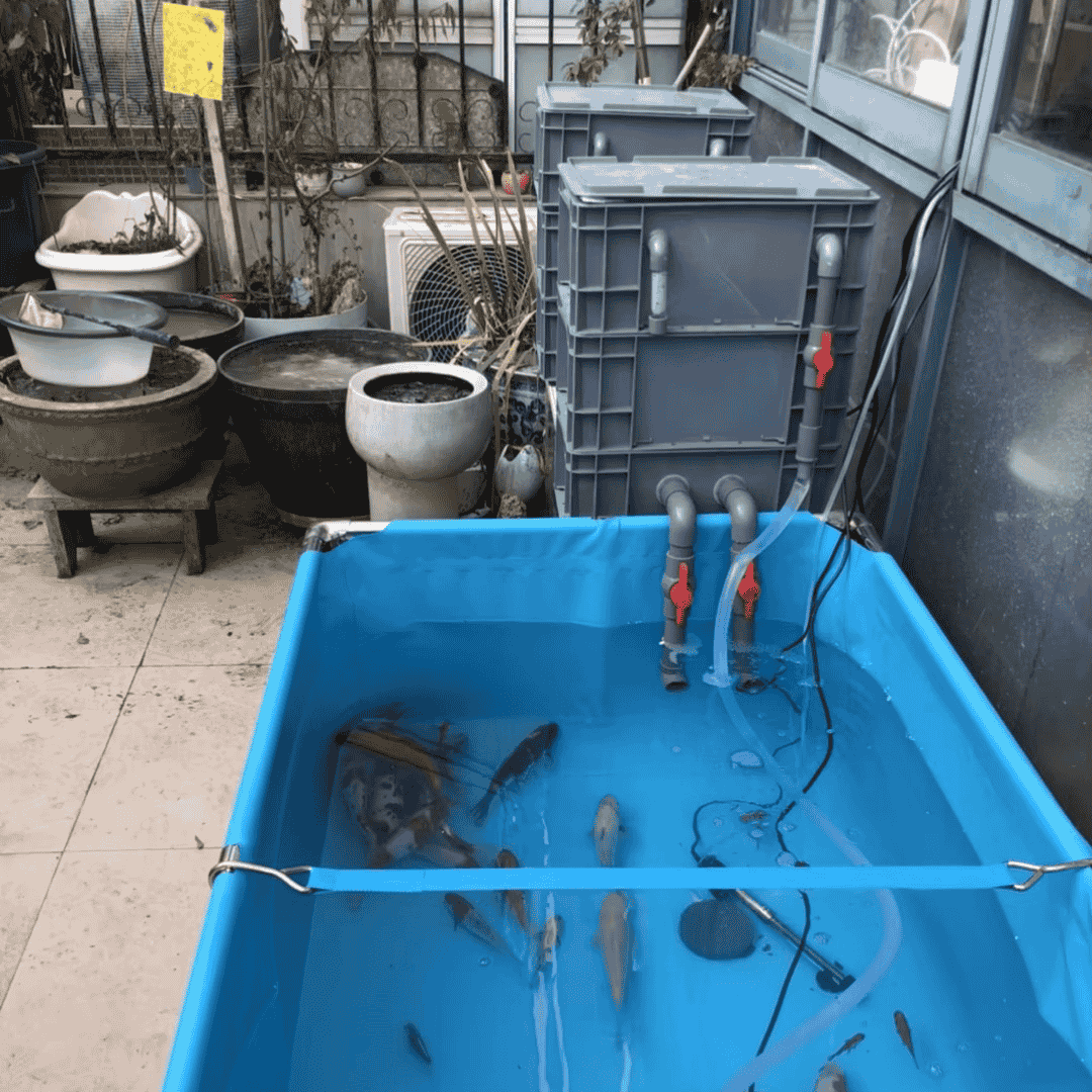 Medium Advanced Canister Layer Box Filter for Up To 500 Gallons Koi Fish Ponds and Aquaculture Fish Tanks