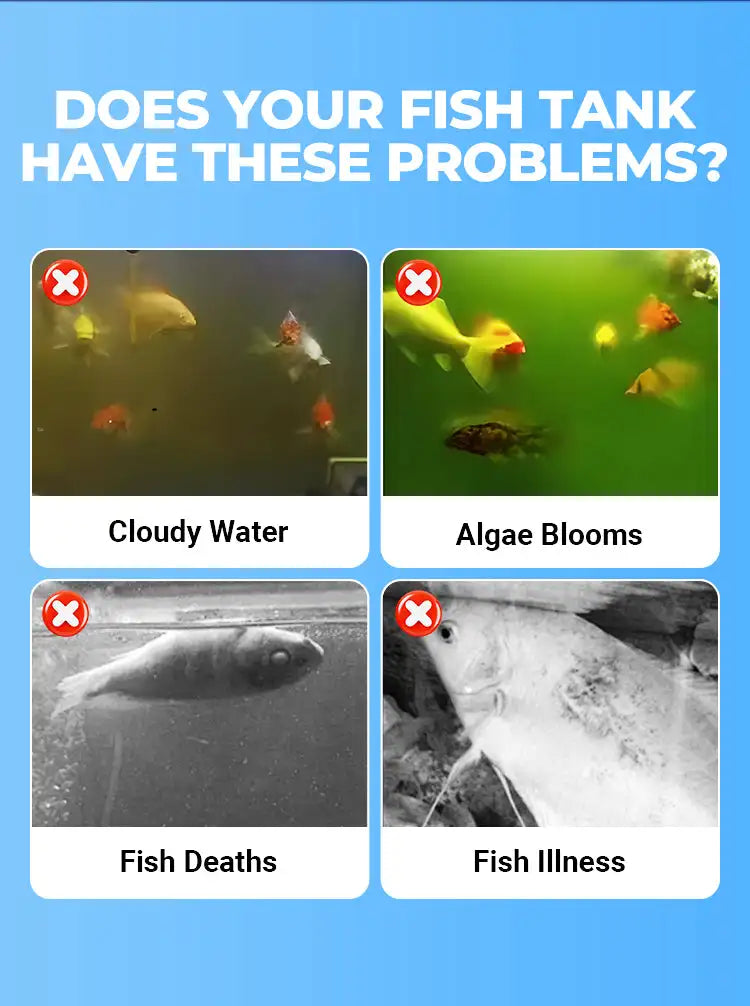 Aquarium Water Clarifier + Methylene Blue Treatment Kit | 2-in-1 Tank Care for Clear Water, Disinfection & Healthy Fish (Fresh & Saltwater)