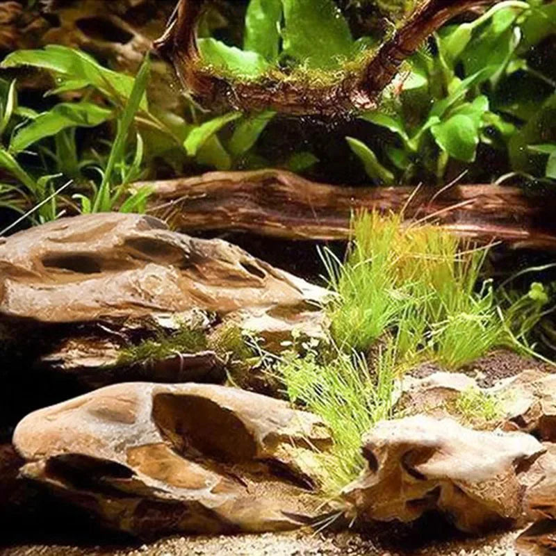 Natural Microporous Aquarium Stones – Decorative Rockery Stones for Aquascaping and Plant Growth (250g / 500g / 1000g)