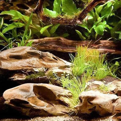 Natural Microporous Aquarium Stones – Decorative Rockery Stones for Aquascaping and Plant Growth (250g / 500g / 1000g)