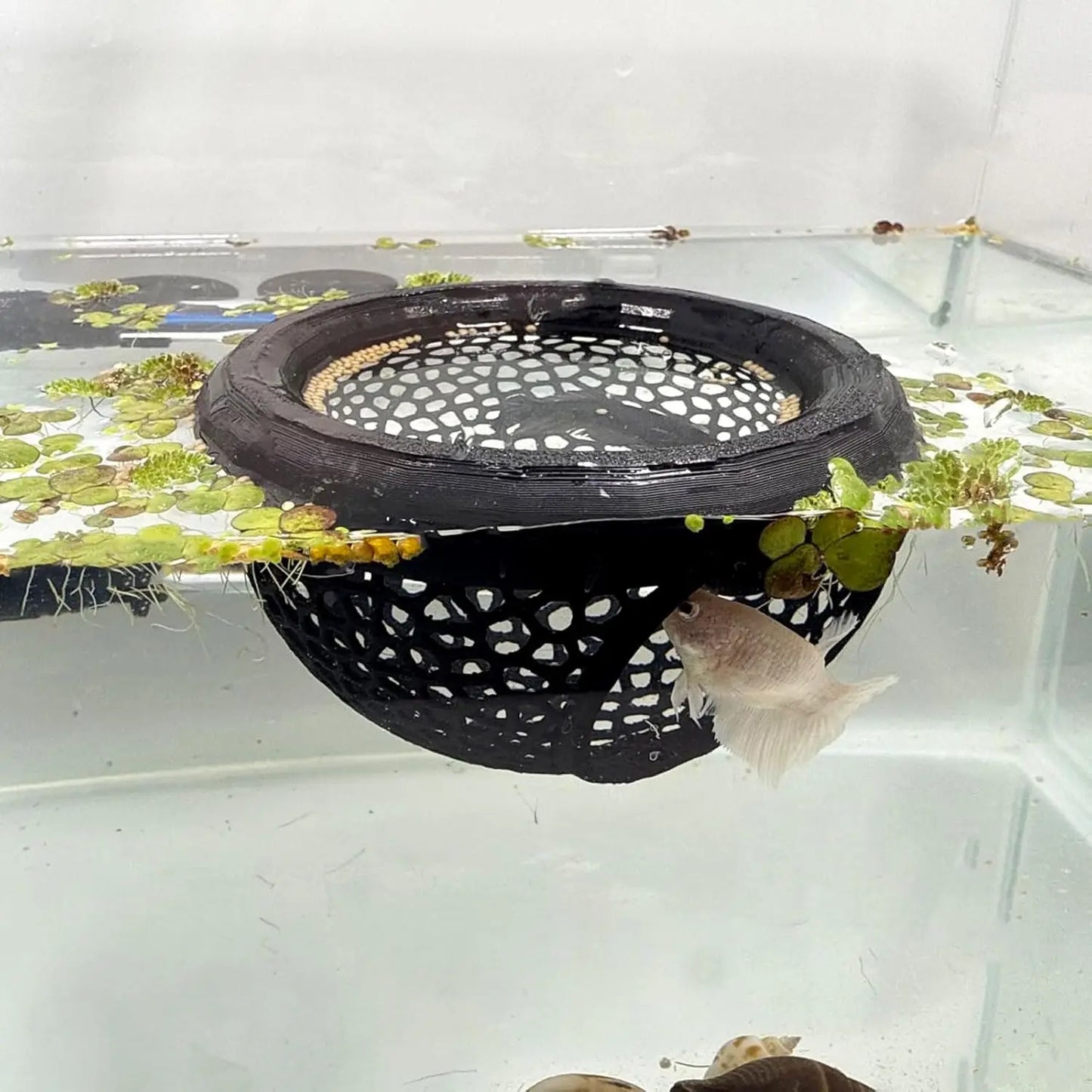 Floating Betta Cave & Shrimp Hideout – 3-in-1 Hammock, Feeding Ring & Resting Spot for Small Aquatic Pets