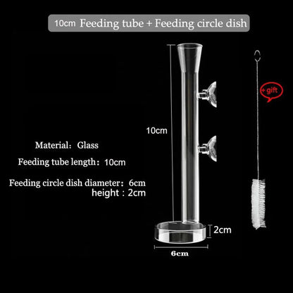 10cm–40cm Glass Shrimp Feeding Tube with Dish