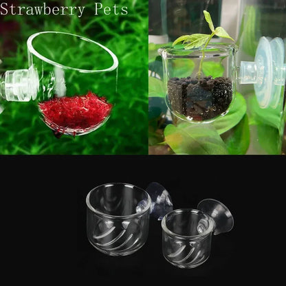 Acrylic Hanging Aquarium Planting and Feeding Cup