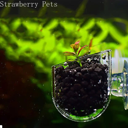 Acrylic Hanging Aquarium Planting and Feeding Cup