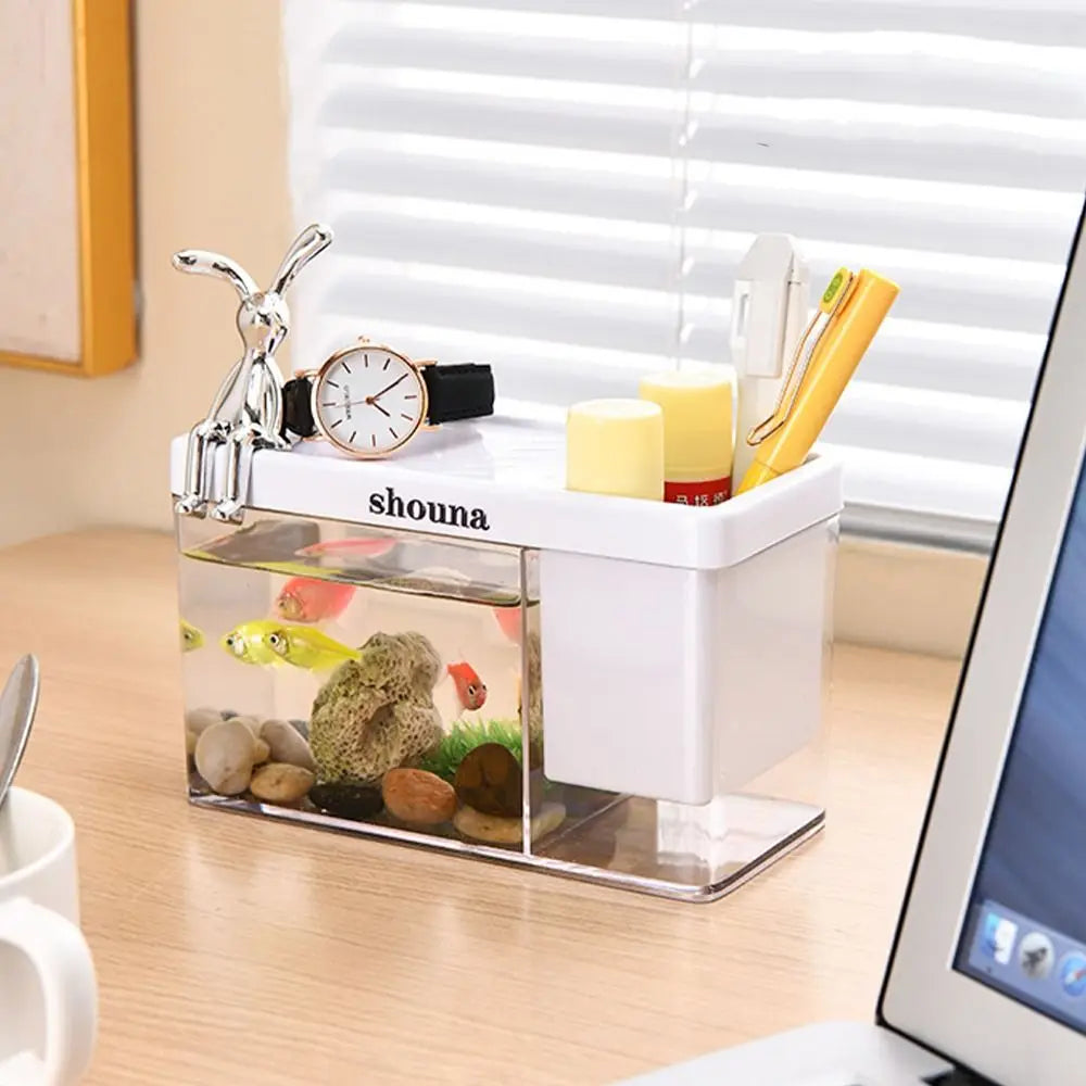 Small Tabletop Fish Tank with Cover