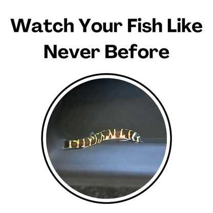 Multifunctional Aquarium Under-Gravel Tunnel Cave – Natural Curve Viewing Tunnel & Hiding Spot for Plecos, Shrimp, Bettas, Loaches & Catfish