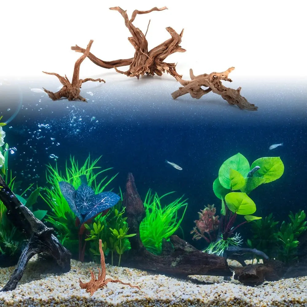 Natural Wood Aquarium Driftwood 8–20cm