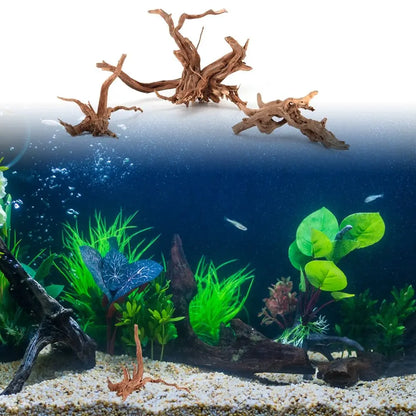 Natural Wood Aquarium Driftwood 8–20cm