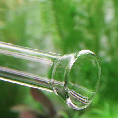 10cm–40cm Glass Shrimp Feeding Tube with Dish