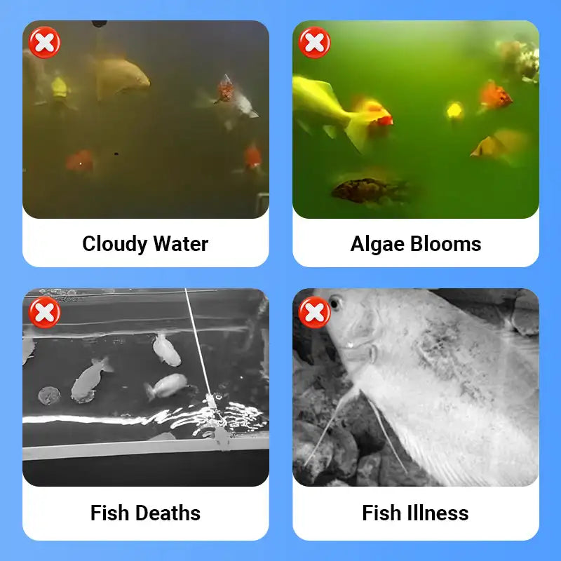 Aquarium Water Clarifier + Methylene Blue Treatment Kit | 2-in-1 Tank Care for Clear Water, Disinfection & Healthy Fish (Fresh & Saltwater)