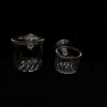 Acrylic Hanging Aquarium Planting and Feeding Cup