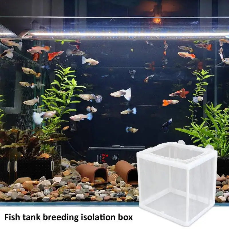 breeding box for fish tank Acrylic Breeder S/L/XL The breeding boxes from Ziss Aqua have an elegant and clear exterior Aquarium Fish Breeder Box with