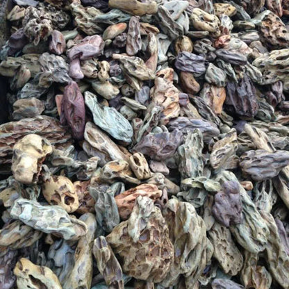 Natural Microporous Aquarium Stones – Decorative Rockery Stones for Aquascaping and Plant Growth (250g / 500g / 1000g)