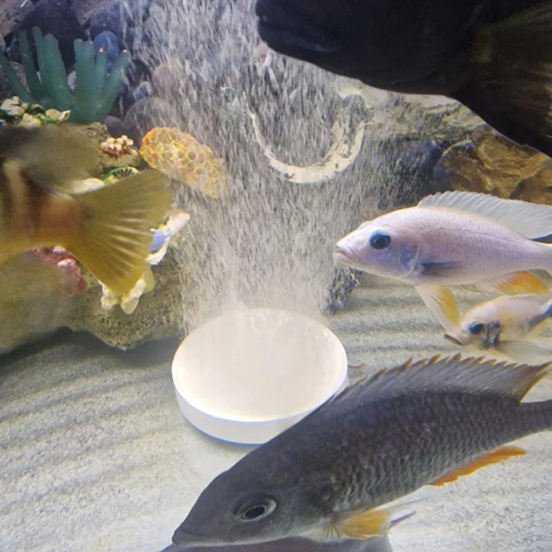 3.5cm 5cm 8cm 10cm Aquarium Air Stone Bubble Aerator Plate With Tube