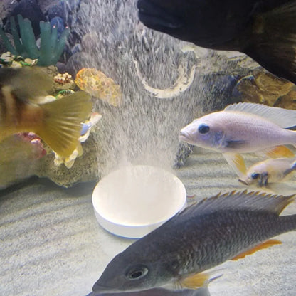 3.5cm 5cm 8cm 10cm Aquarium Air Stone Bubble Aerator Plate With Tube