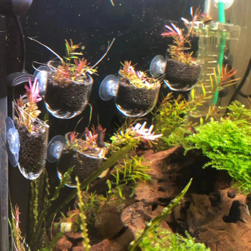Acrylic Hanging Aquarium Planting and Feeding Cup