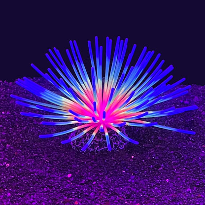Fluorescent Silicone Sea Urchin Aquarium Ornament – Soft Glow Effect Fish Tank Decor for Vibrant Underwater Landscapes