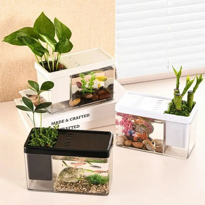 Small Tabletop Fish Tank with Cover