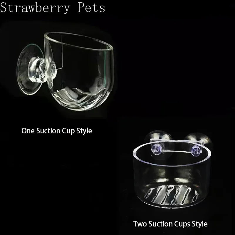 Acrylic Hanging Aquarium Planting and Feeding Cup