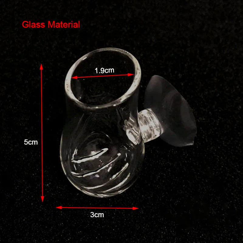 Acrylic Hanging Aquarium Planting and Feeding Cup