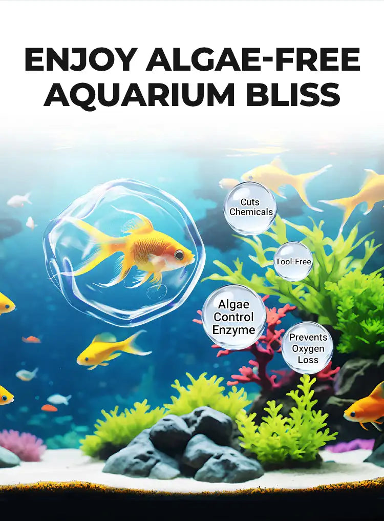 Aquarium Water Clarifier + Methylene Blue Treatment Kit | 2-in-1 Tank Care for Clear Water, Disinfection & Healthy Fish (Fresh & Saltwater)