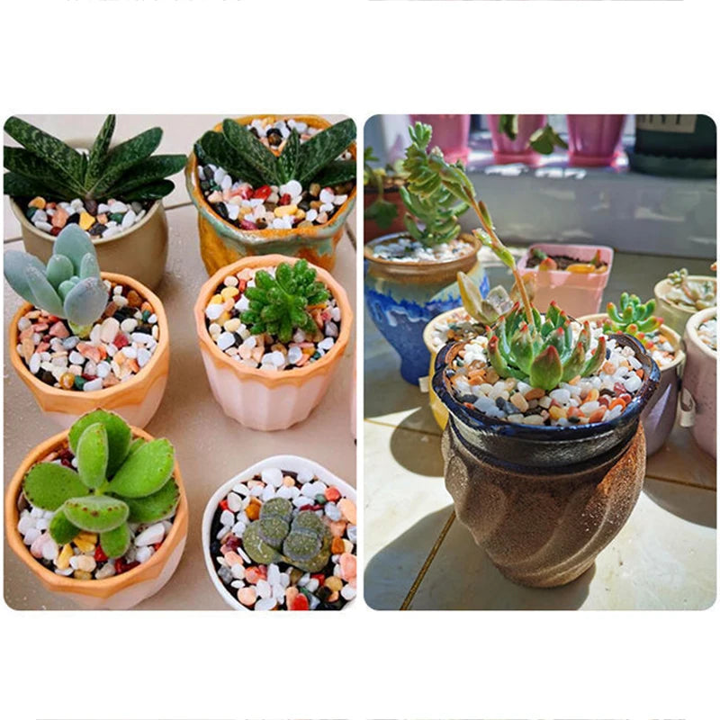 300g / 600g / 900g Mixed Natural Rainflower Stone – 3-5mm Aquarium Gravel for Fish Tank Bottom Landscaping, Plant Pot Decor & DIY Crafts